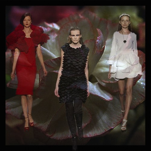 Structured Florals